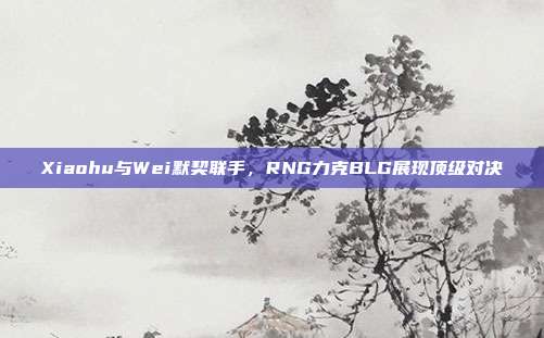 Xiaohu与Wei默契联手，RNG力克BLG展现顶级对决