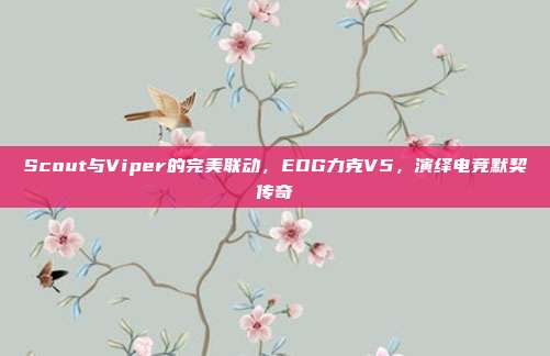 Scout与Viper的完美联动，EDG力克V5，演绎电竞默契传奇