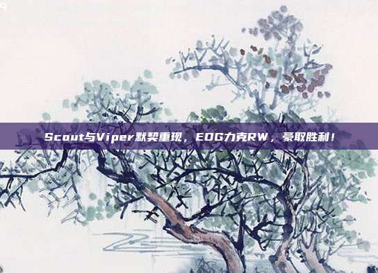 Scout与Viper默契重现，EDG力克RW，豪取胜利！